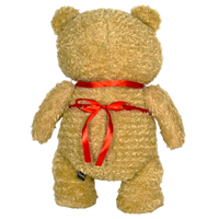 Oso Ted 47 cm con Grabadora de voz