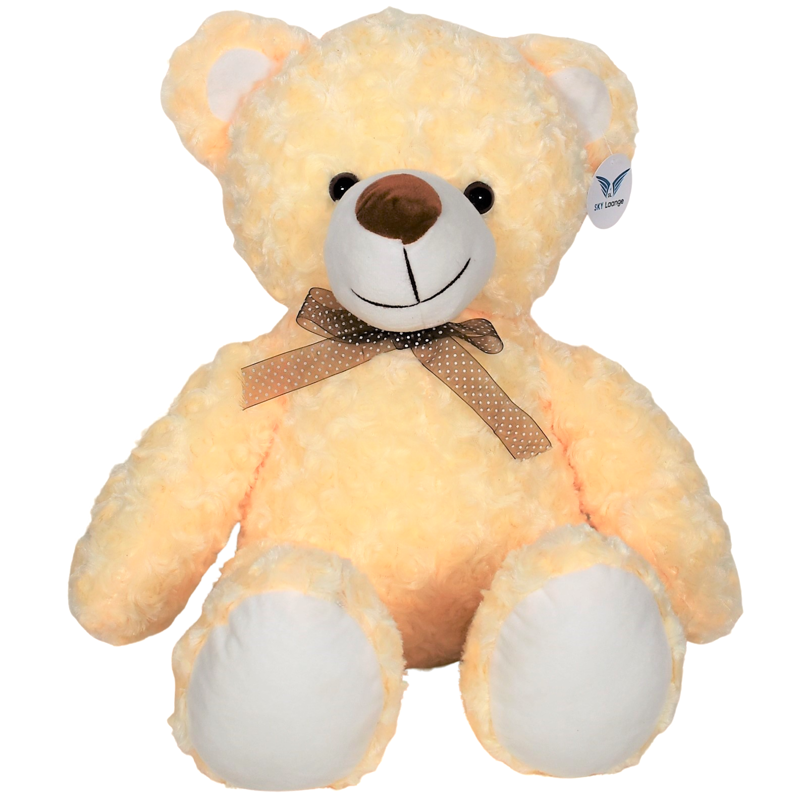 The Recordable Teddy Bear | Graba instantáneamente la voz de un ser querido  | El oso de peluche marrón con grabación de voz